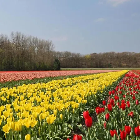 In Near Holiday home Noordwijk
